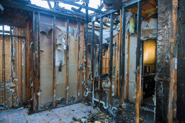 Professional Fire Damage Removal technician working in Springfield, MN